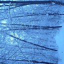 ���� �����, ������, 41 ��� - ��������� 30 ������ 2013 � ������ ����������