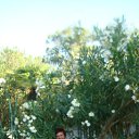 ���� �������, ��������, 72 ���� - ��������� 4 ������� 2011