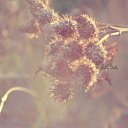 ���� Helen, �����-���������, 31 ��� - ��������� 15 ������� 2011 � ������ �AGAIN�