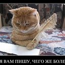   ( -        ,  -  25  2011   