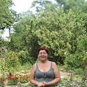 ���� �����, �������� - ��������� 11 ���� 2013 � ������ ���� ����������