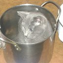 ���� �����, �������, 56 ��� - ��������� 29 ������� 2012 � ������ ������� �������