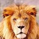 ���� �����, ������, 53 ���� - ��������� 17 ������ 2012 � ������ ���� ����������