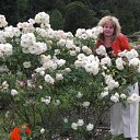 ���� �����, ���������, 54 ���� - ��������� 9 ����� 2012 � ������ �� � ��� �����