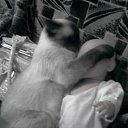 ���� ���@����@, �������, 49 ��� - ��������� 14 ����� 2010 � ������ ���� �����