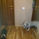 ���� ���������, ����, 75 ��� - ��������� 18 ������ 2012 � ������ ���� ����������