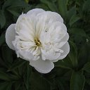  ok, --, 44  -  7  2010   