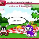  , , 24  -  2  2010   PetLove