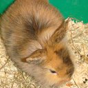  , -, 35  -  19  2011   