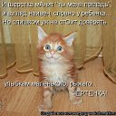 ���� ��������, �������� - ��������� 23 ����� 2012 � ������ �������� ��������