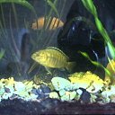 ���� �������, ������, 55 ��� - ��������� 25 ����� 2012 � ������ ���� ����������