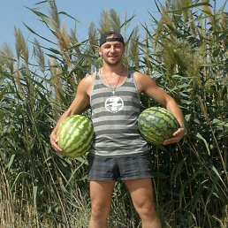 Dustyanec, ������ ��������, 48 ���