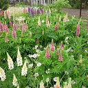 ���� ����@, ��������, 62 ���� - ��������� 30 ��� 2010 � ������ ��������� �������