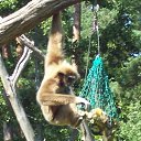 ���� ������, �����-���������, 60 ��� - ��������� 27 ������� 2009 � ������ �������� 2009�