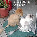 ���� Red, ������� - ��������� 16 ������ 2011 � ������ ���������������� :)�