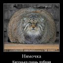 ���� ��������, ���� - ��������� 2 ������ 2013 � ������ ���� ����������