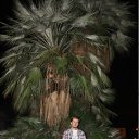 ���� ����������, ���������, 42 ���� - ��������� 27 ������� 2012