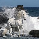 ���� ������, ������, 45 ��� - ��������� 27 ���� 2013 � ������ ���� ����������