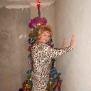 ���� �����, ������������, 49 ��� - ��������� 1 ������ 2013