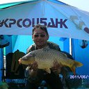 ���� ����, �����������, 60 ��� - ��������� 1 ���� 2013 � ������ ���� ����������