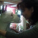 ���� ��������, ����, 50 ��� - ��������� 20 ��� 2011 � ������ ����� ��