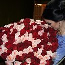 ���� �������@, ������-��� - ��������� 26 ��� 2013 � ������ ���� ����������