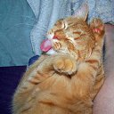 ���� ����� - ���������� ��������!!!, �����������, 56 ��� - ��������� 13 ������� 2009 � ������ ��������� (�����)�