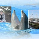 ���� ���������, ������� ��������, 39 ��� - ��������� 28 ������ 2010 � ������ ���� ����������