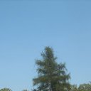 ���� ������, ������, 62 ���� - ��������� 22 ���� 2009 � ������ ����� �� ����