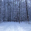  , , 36  -  20  2010    .