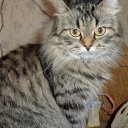  {} Den,  -  27  2012    