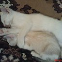  (  ,!!!!!!!) , , 59  -  25  2011   &quot;&quot;