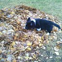 ���� ����! ���, ������������, 52 ���� - ��������� 23 ������� 2011 � ������ ��������