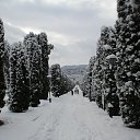 ���� Jouri, ������-��-���� - ��������� 24 ������ 2013 � ������ ��������