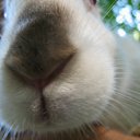 ���� Tanechka, ��������� - ��������� 16 ���� 2012 � ������ ����� �������