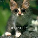 ���� ����, ������ - ��������� 22 ������� 2012