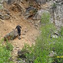  **** , , 64  -  4  2013   - 25-26  2013 