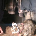 ���� �����, �������, 42 ���� - ��������� 16 �������� 2012 � ������ �))))))�