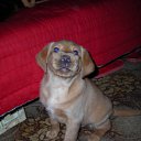 ���� �����, �������, 44 ���� - ��������� 26 ������� 2009 � ������ �������