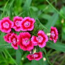   - , , 65  -  2  2012   