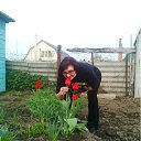 ���� �������, ������, 67 ��� - ��������� 12 ���� 2012 � ������ ���� ������ �����������