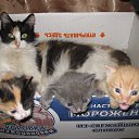 ���� �����,����� !!!!, ������, 55 ��� - ��������� 3 ���� 2013 � ������ ����� ��� ������������