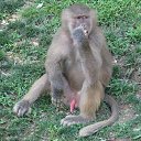 ������� � ��������))) �� ������� ���������� ����)))�