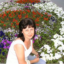 �����, �����������