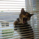 ���� ����, ������-��-����, 23 ���� - ��������� 4 ���� 2011 � ������ �PetLove�