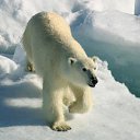 ���� ��������, ������, 50 ��� - ��������� 25 ��� 2012 � ������ �������