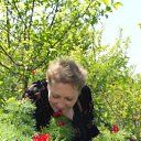 ���� �����, ��������, 64 ���� - ��������� 6 ��� 2012 � ������ ���� ����������