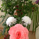 ���� N@dezhd@, ������, 36 ��� - ��������� 23 ������ 2013