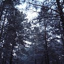 ���� �����, �������, 57 ��� - ��������� 4 �������� 2012 � ������ ��������