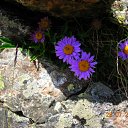 ���� ������, �����-���������, 39 ��� - ��������� 9 ������� 2010